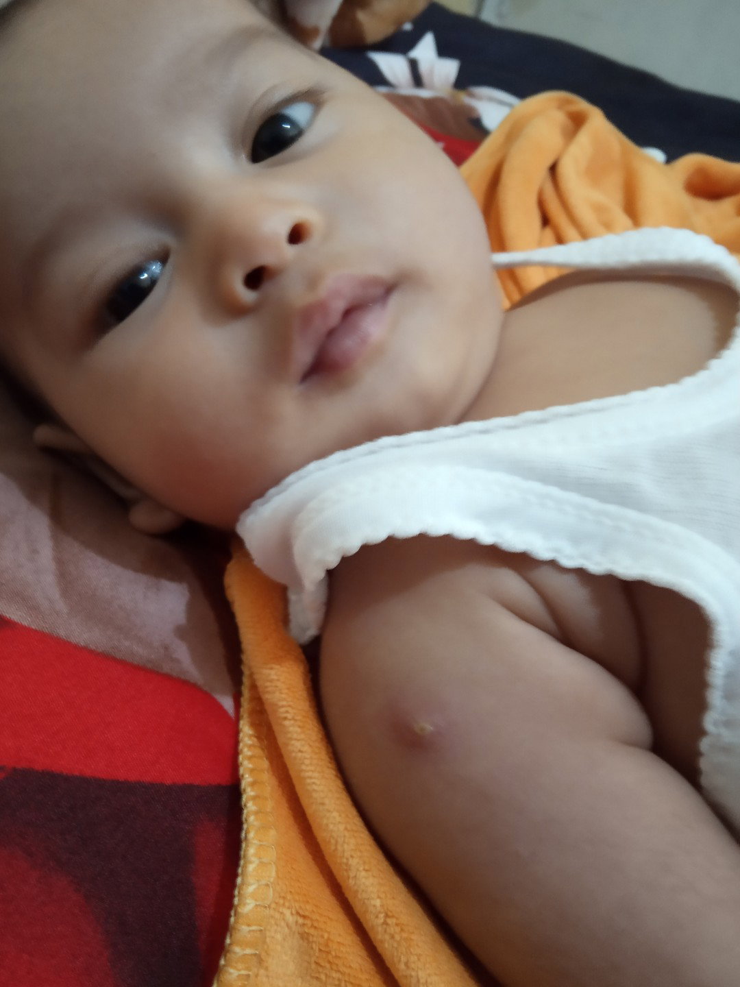 seputar bayi