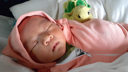 akhirnya awal perjuangan dimulai