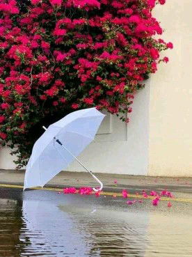 Ndha'y Hafiz ( maryati ) profile icon