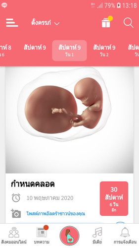 กี่เดือนแล้วค่ะ
