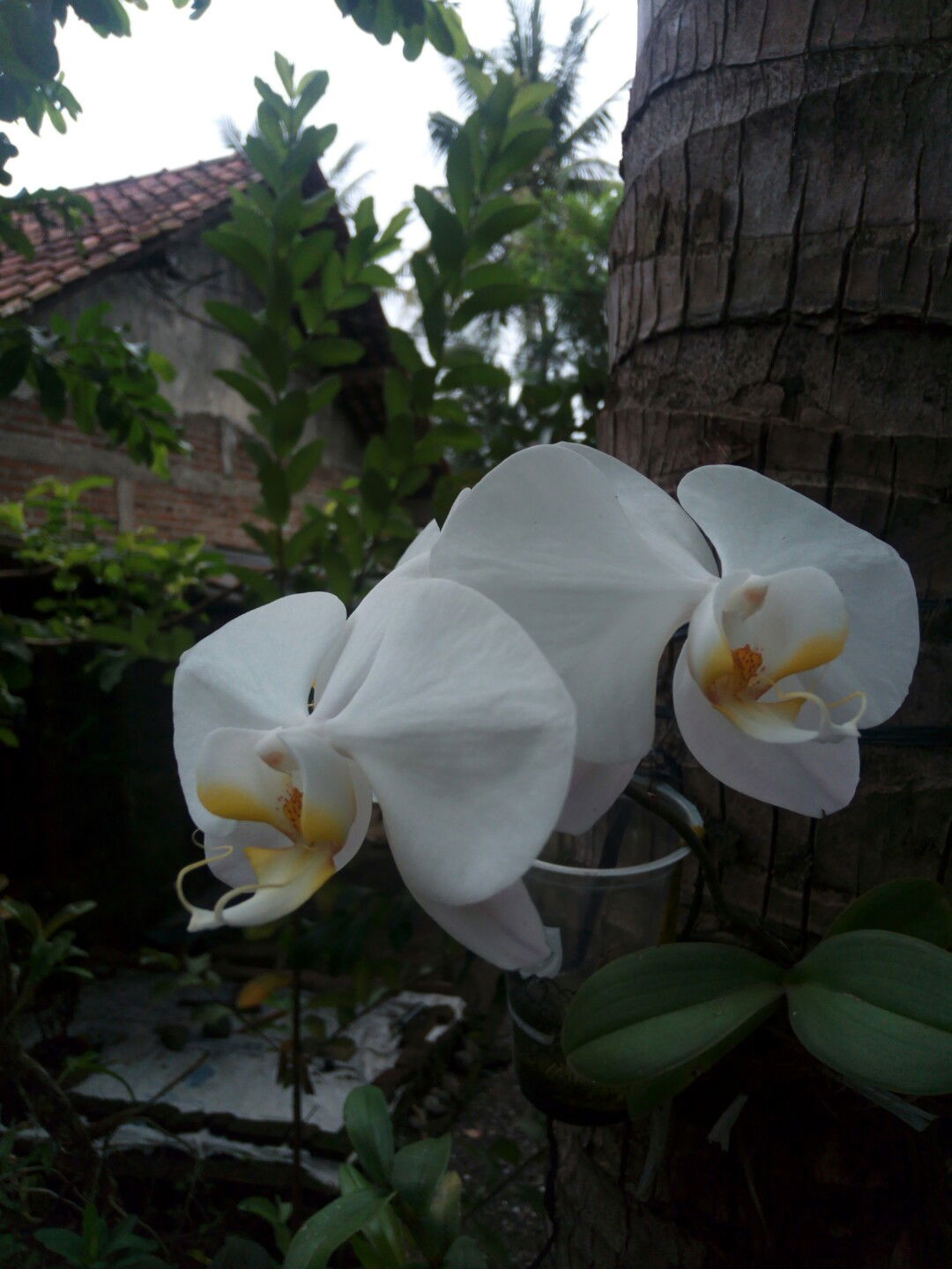 fitri susanti profile icon