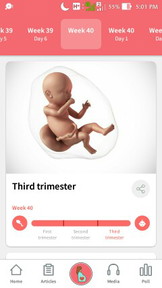 40 Weeks