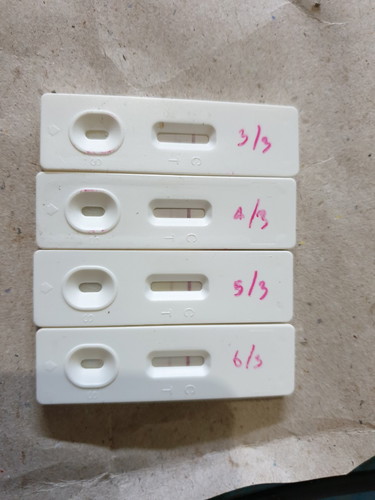 สอบถามตรวจไข่ตก