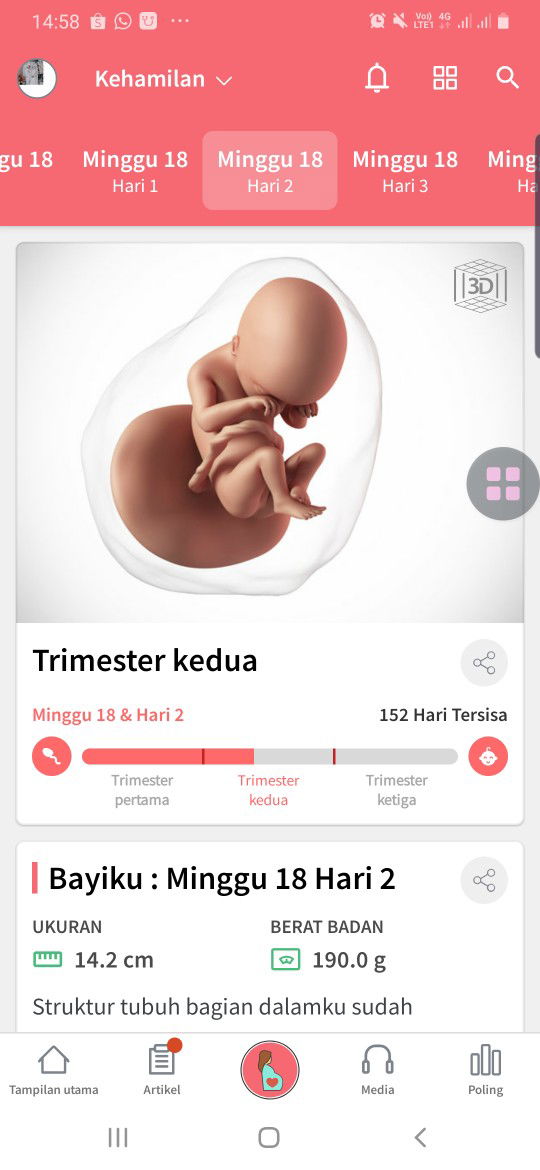 usia berapa minggu merasakan tendangan janin