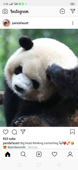 meilinda ayu lestari profile icon