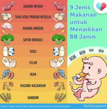 makanan buat naikin bbj