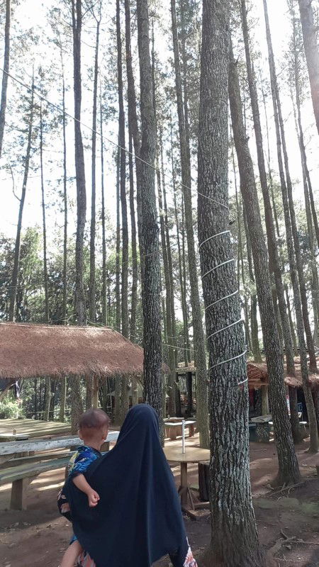 Yasmin Tsamara profile icon