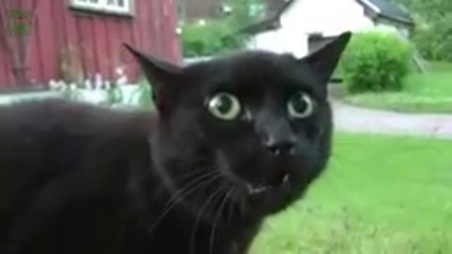 karmila profile icon