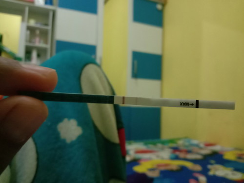 Hamil ga ya???
