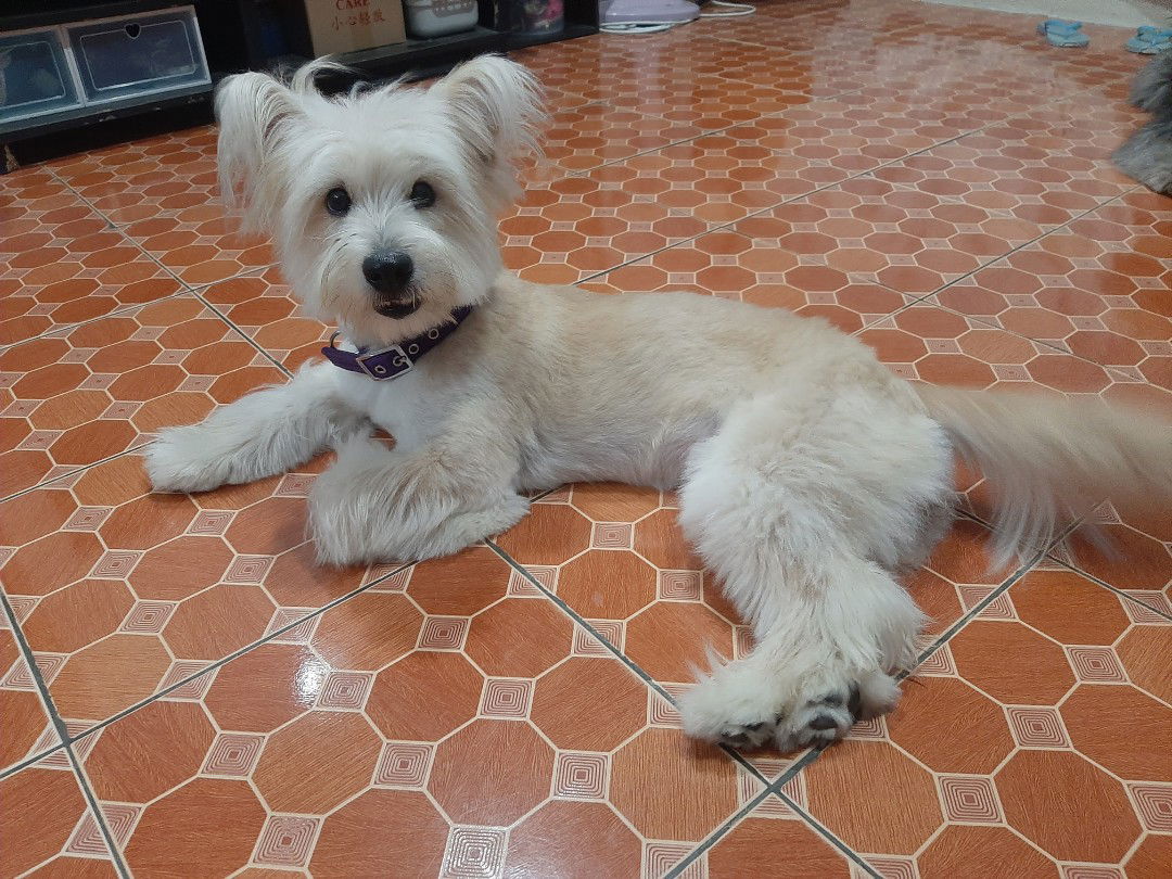 eva Reyna Wens profile icon