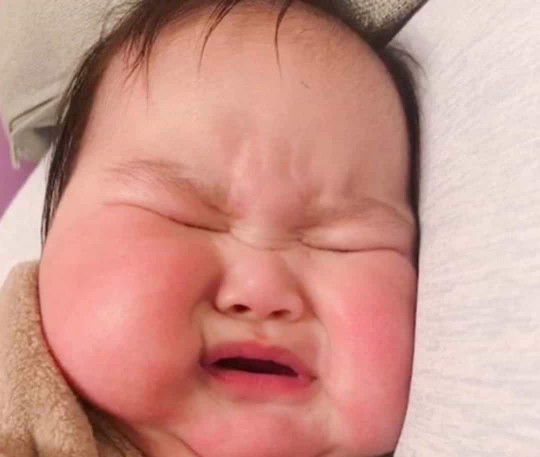 Shaine Carreon profile icon