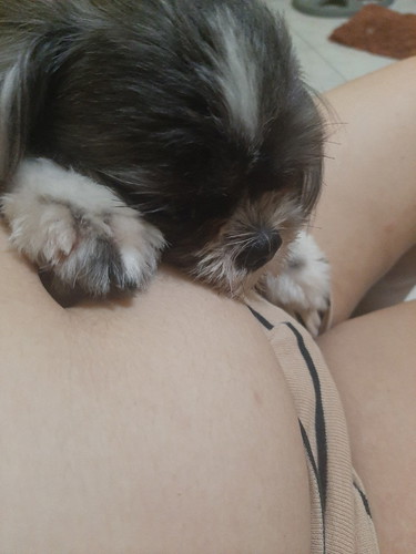 Naiinip na yung playmate mo baby. ?❤