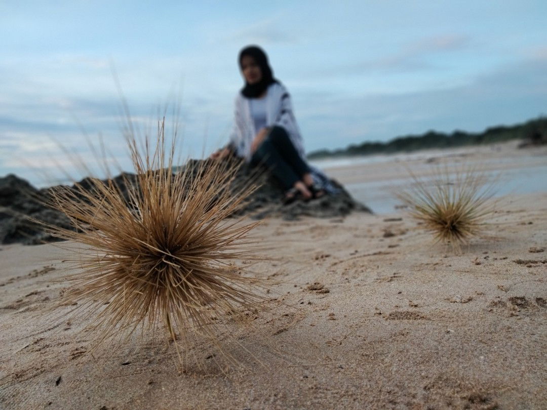 Maria Ulfa profile icon