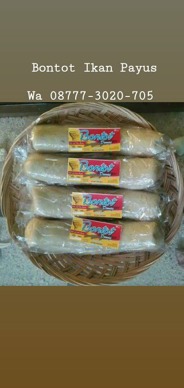 Bontot Ikan Payus
