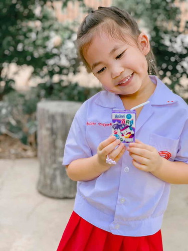 นมดัชมิลล์