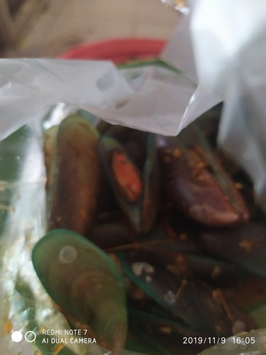 kerang