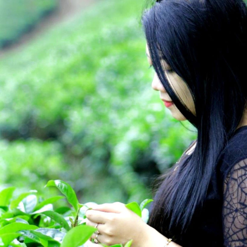 Feris (Anditha) profile icon