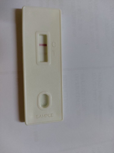 Pregnancy Test