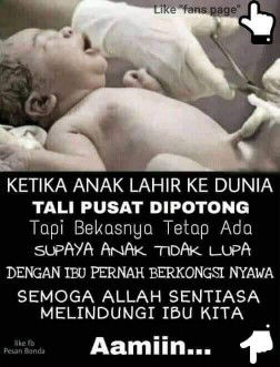 bunda chan chan profile icon