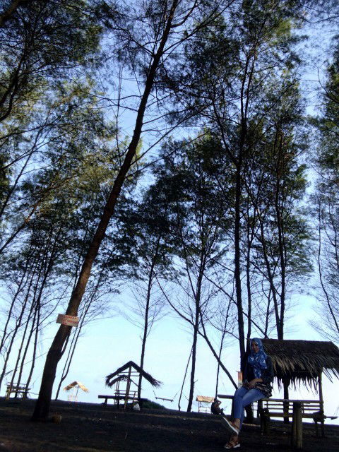 Muzakiyatul Fitriyah profile icon