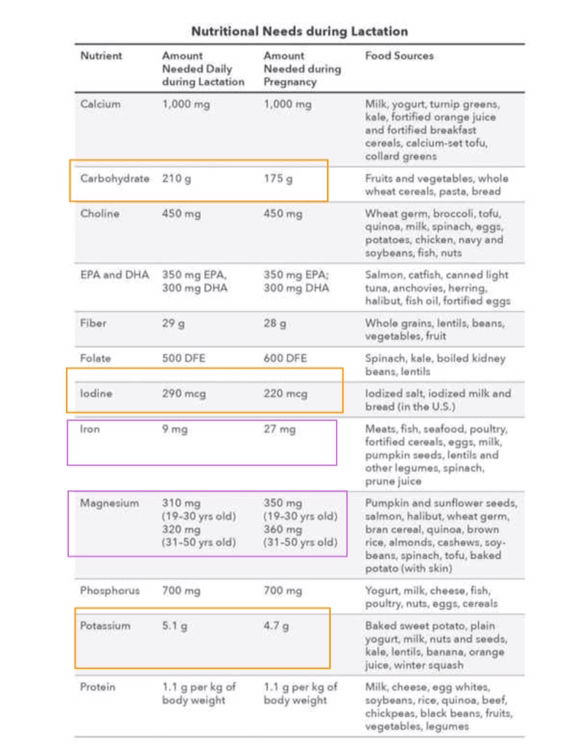Perbedaan Nutrisi Saat Hamil dan Menyusui