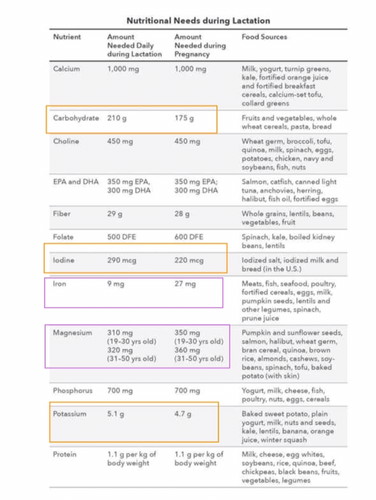 Perbedaan Nutrisi Saat Hamil dan Menyusui