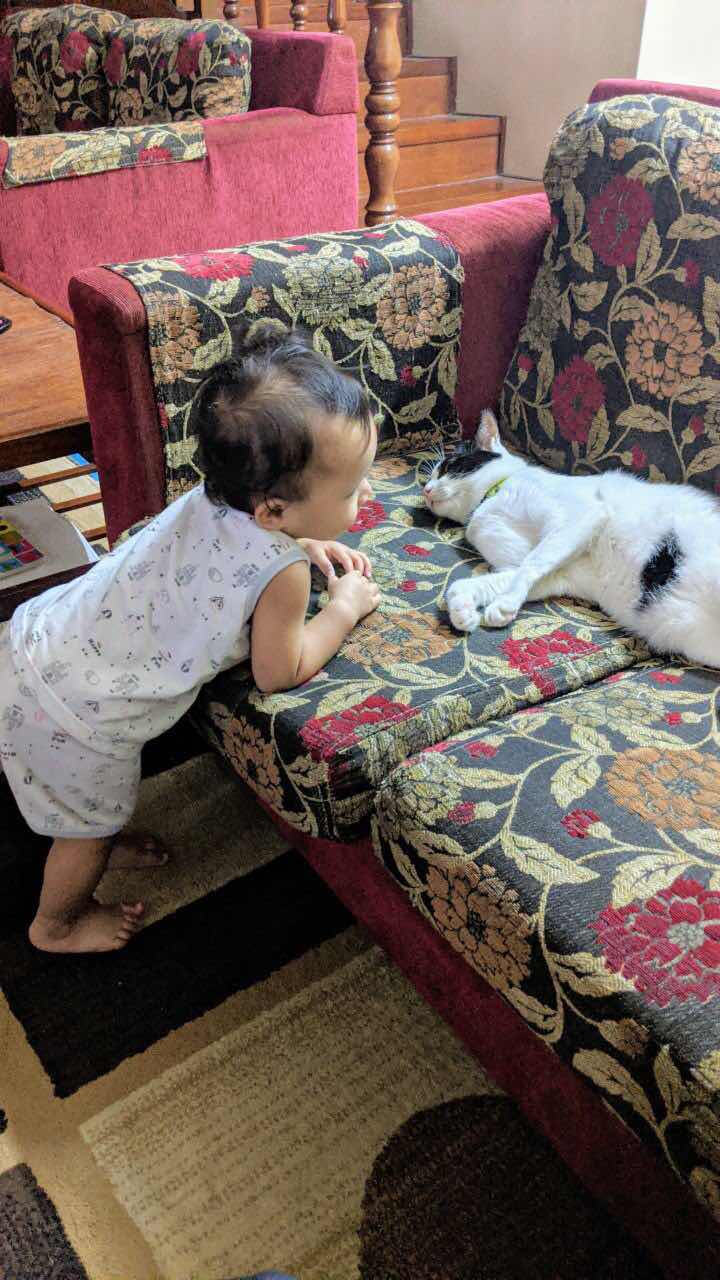 Siti Fairuza profile icon