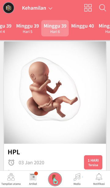 menurut aplikasi TAP?