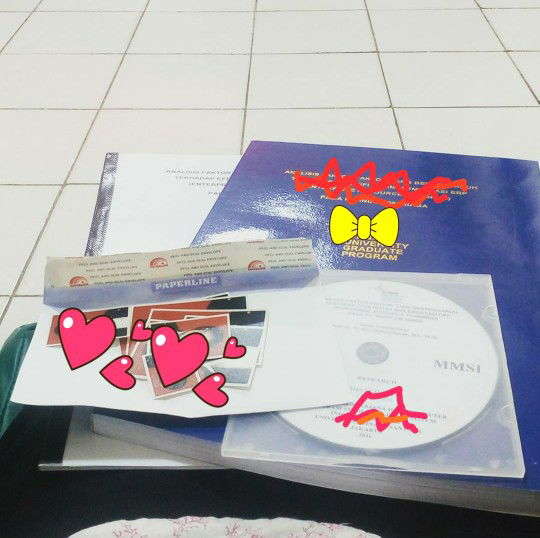 IRT dan Karir? Saya ingin kedua nya