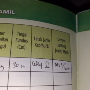 Letak Janin