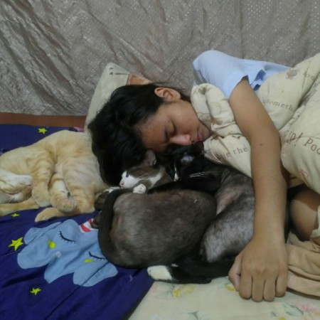 บ้านไหนเลี้ยงสัตว์กันบ้างคะ