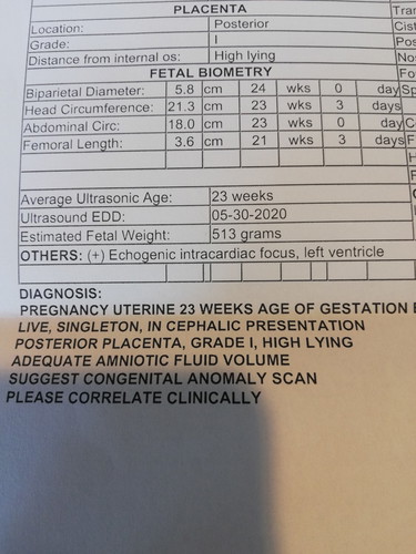 echogenic intracardiac focus