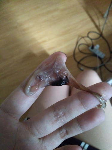 plug or not? help pls