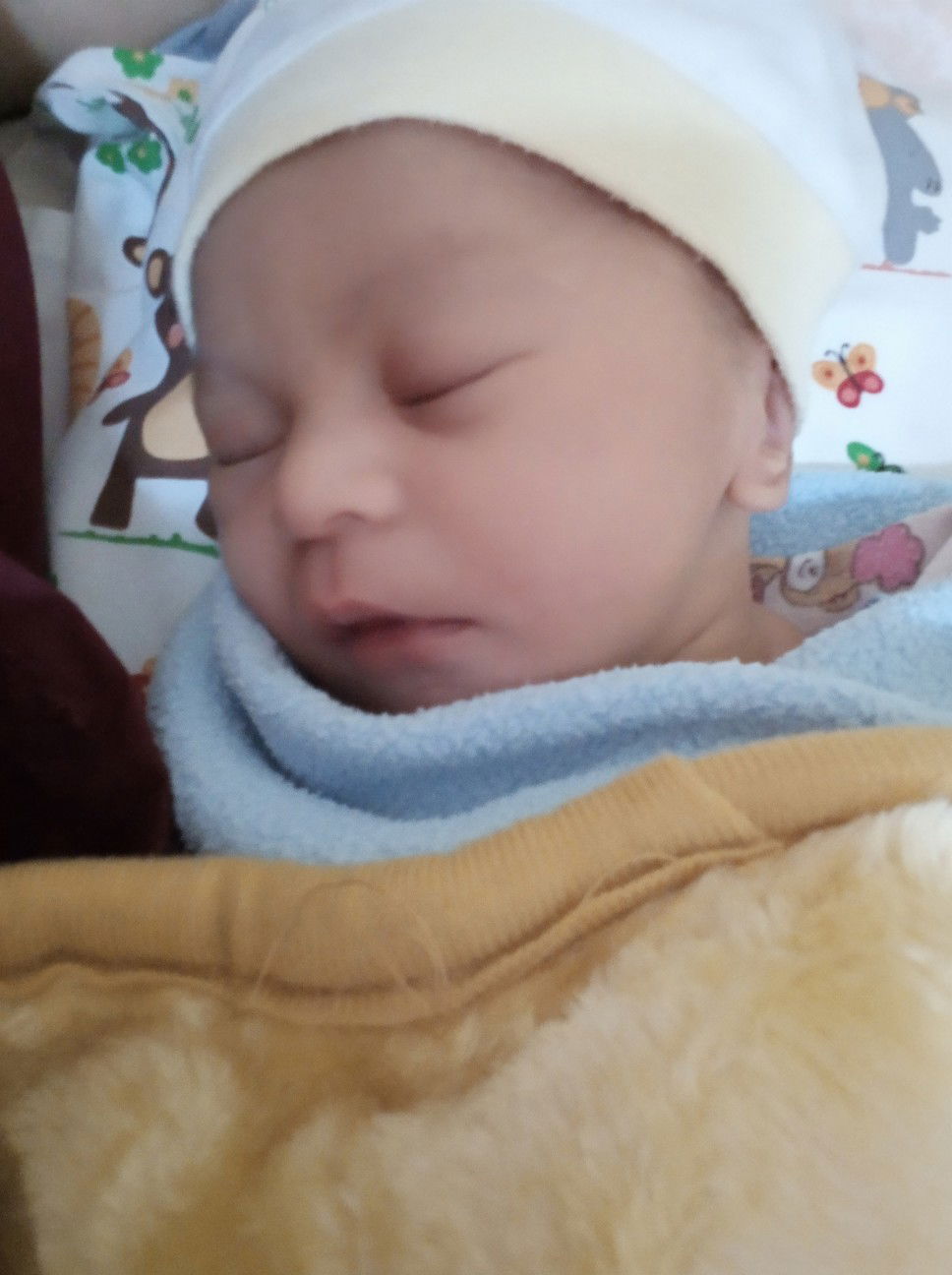 Baby Girl & sedikit cerita