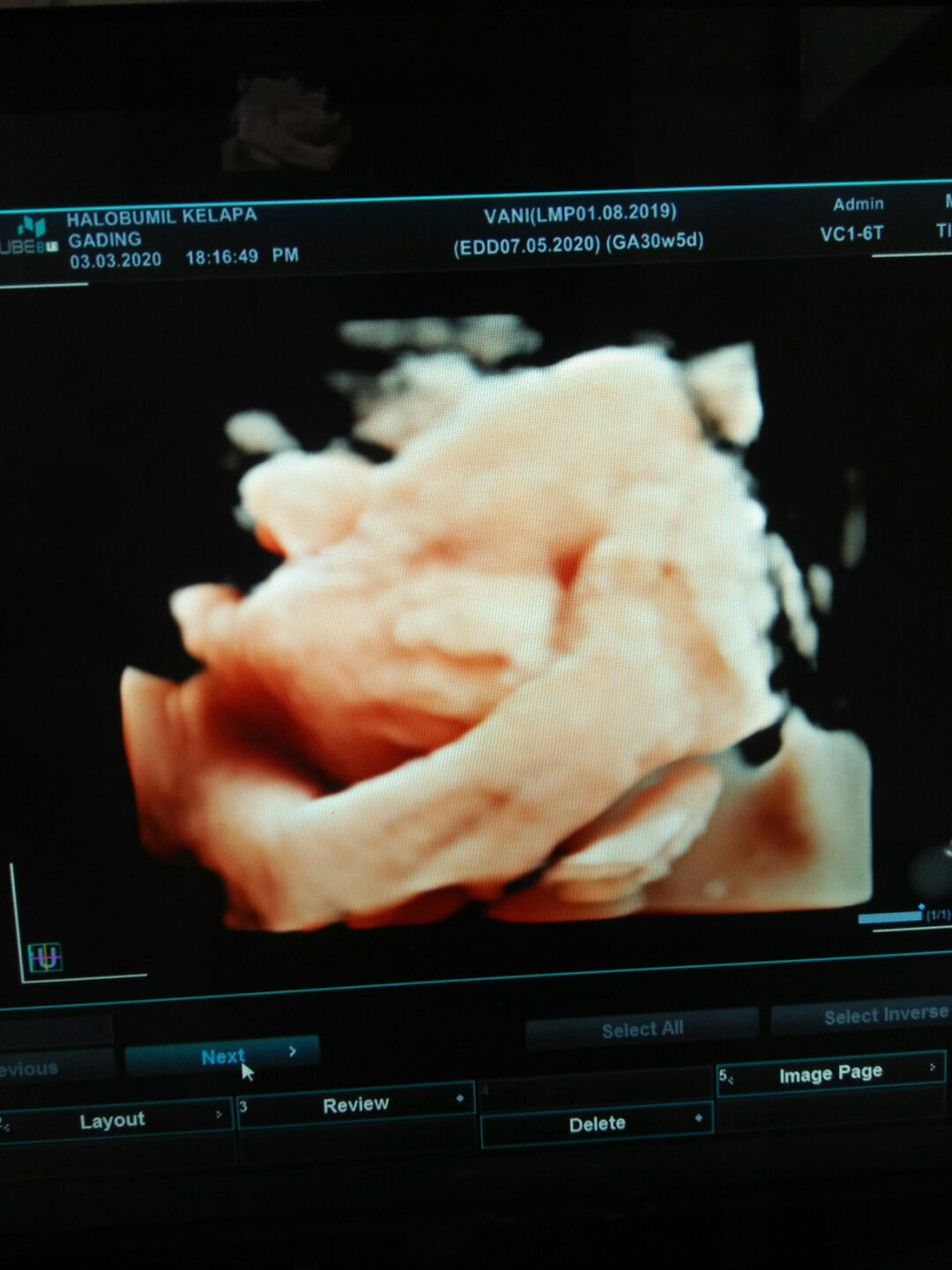 Vani Melo profile icon