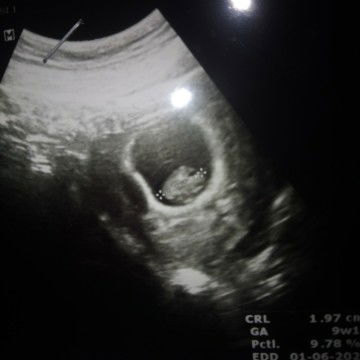 Nam Phan profile icon