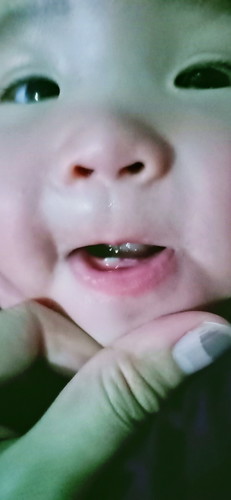 Teeth