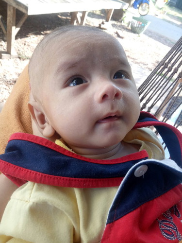 น้องพีพี