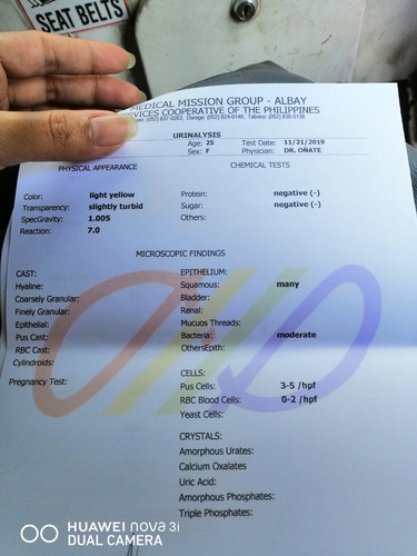 urinalysis results
