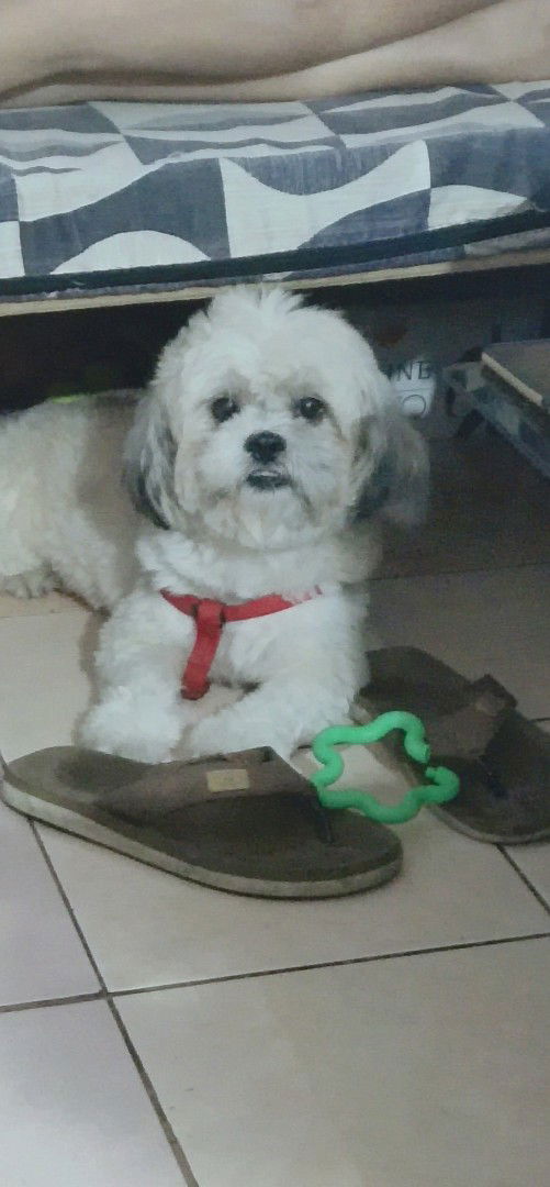 Theresa profile icon