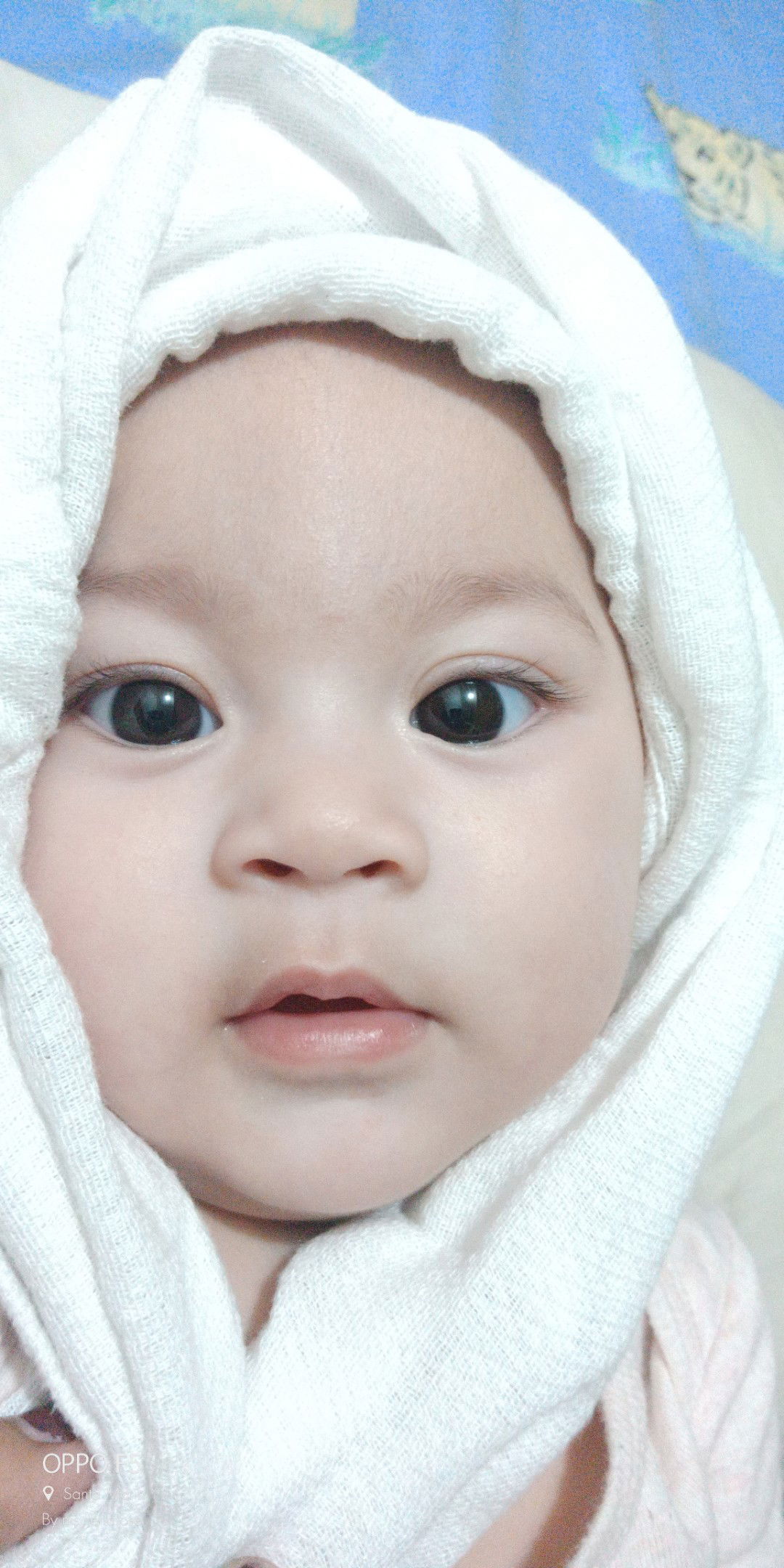 Riena Rose Teologo profile icon