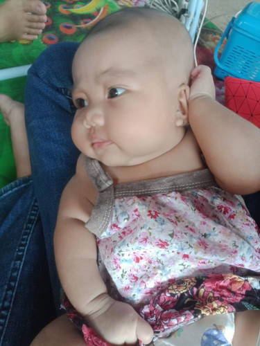 นมตาหมี