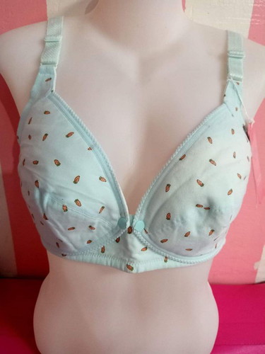 Nursing Bra (size 36)