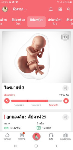 29w
