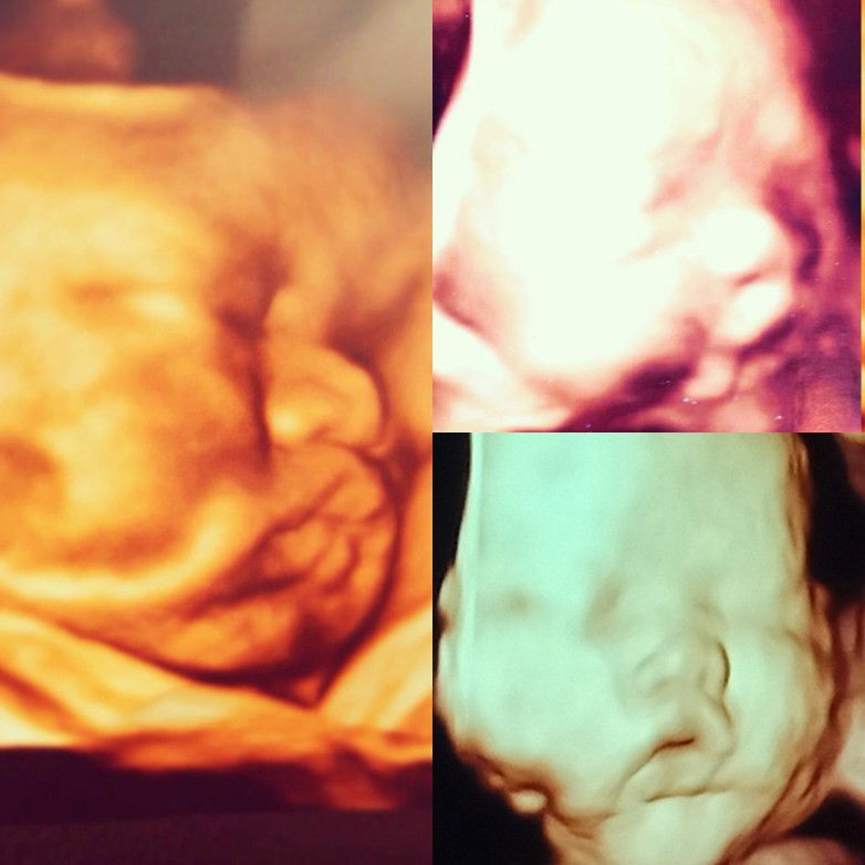 Rohaya Salleh profile icon