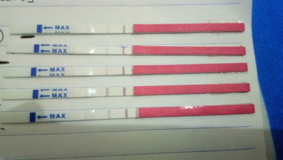 Berharap segera hamil