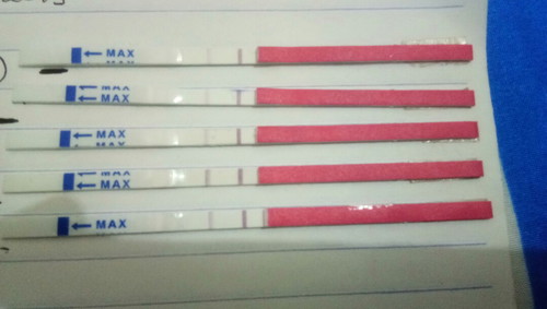 Berharap segera hamil