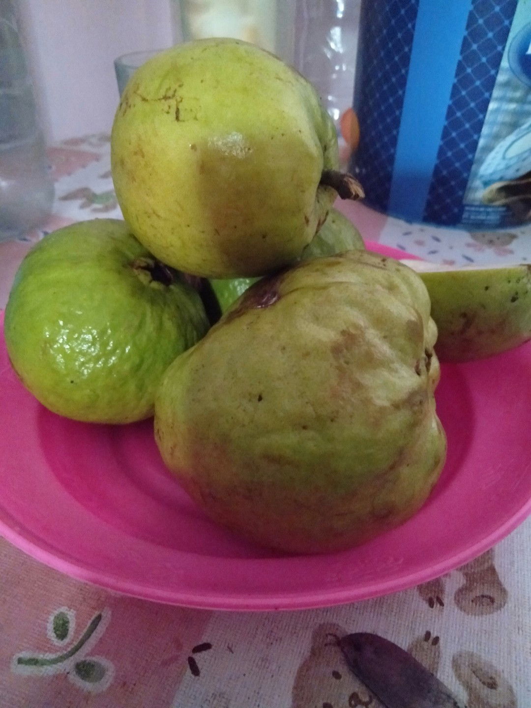 aman gk makan Jambu kristal segini