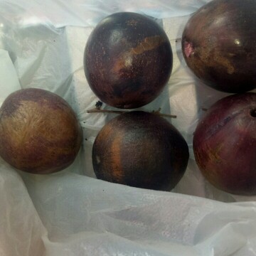 starapple