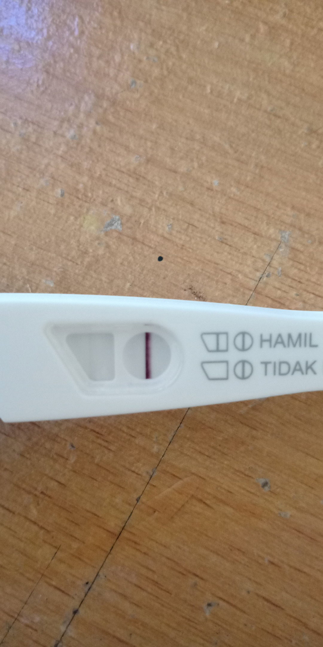 hamil / tidak